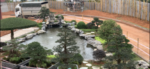 Hồ koi, thác nước chất liệu đá xanh rừng Cúc Phương- công trình tại thành phố Vĩnh Yên